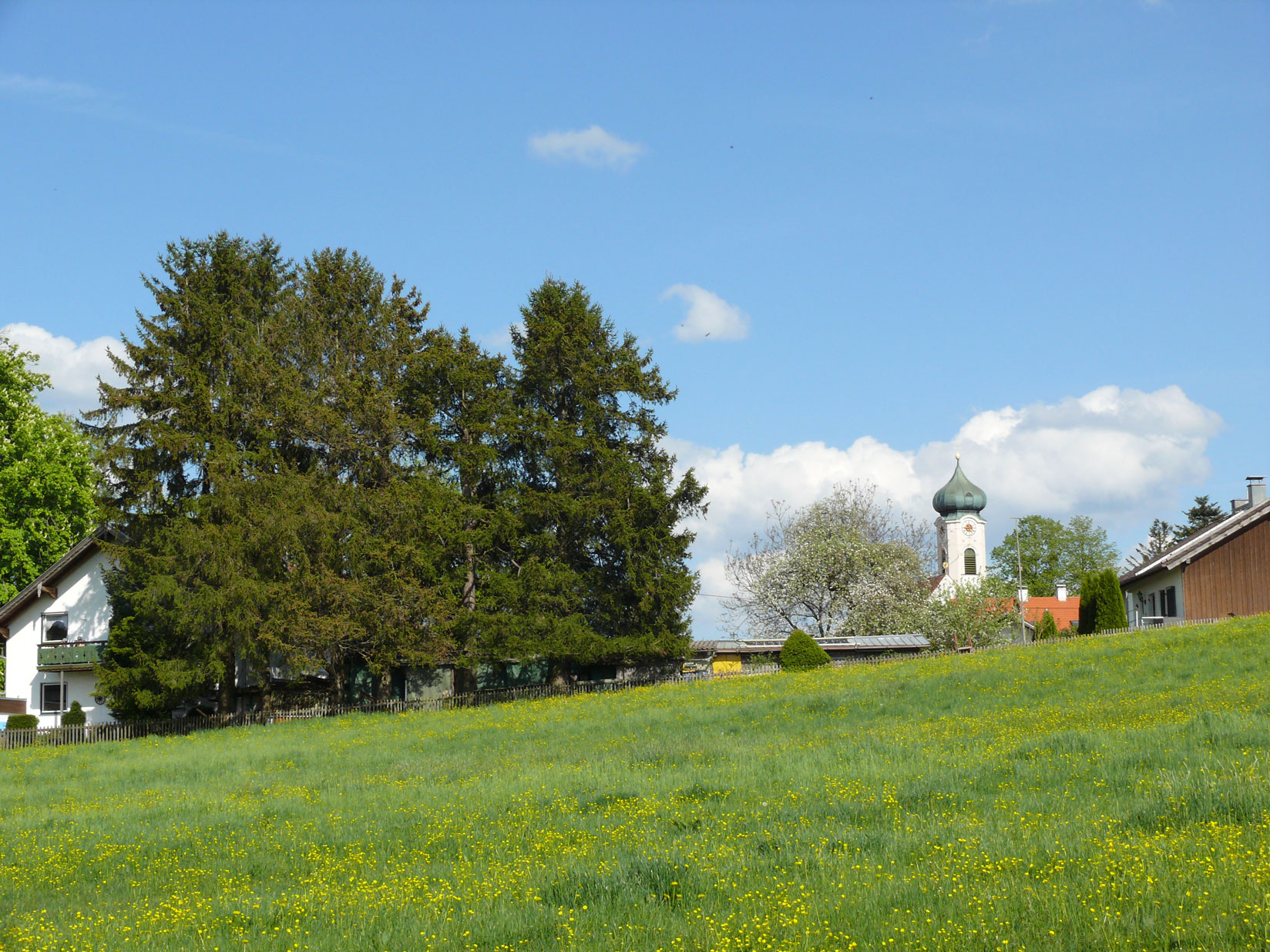 Bild von der Stadt Wangen